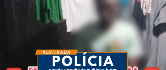 Polícia Militar de São João do Piauí prende suspeito de múltiplos furtos em tempo recorde